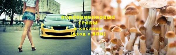 дмт Вязьма