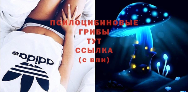 дмт Вязьма
