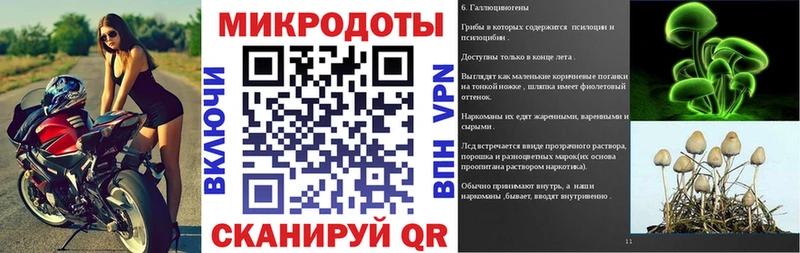 Галлюциногенные грибы Cubensis Тверь